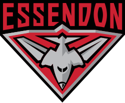 Essendon logo